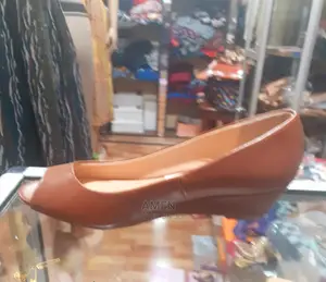 Ladies Shoe