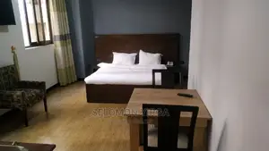 Photo - Furnished 1bdrm Apartment in አድስ አበባ, Bole for rent