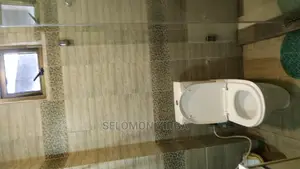 Furnished 1bdrm Apartment in አድስ አበባ, Bole for rent