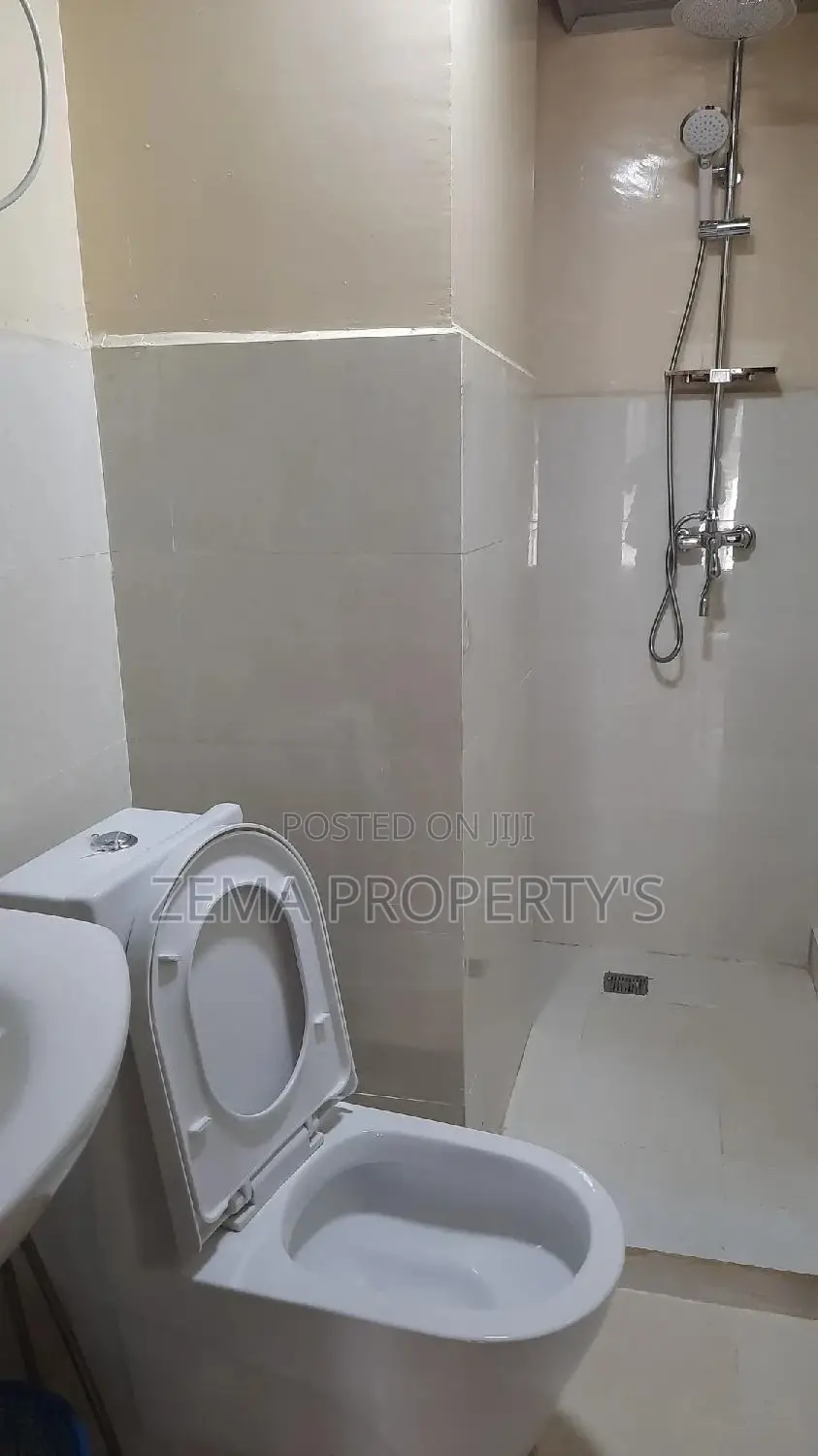 Furnished 3bdrm Apartment in Zema, Bole for Rent