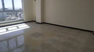 1bdrm Apartment in አድስ አበባ, Addis Ketema for Rent