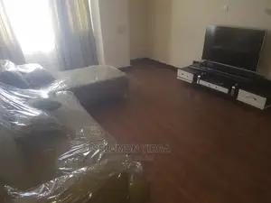 Furnished 1bdrm Apartment in Adis Abeba, Bole for rent