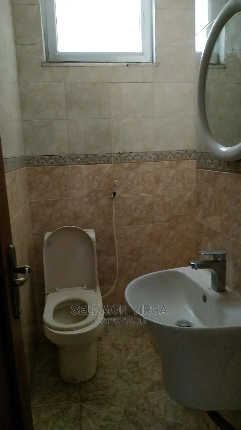 Furnished 1bdrm Apartment in Adis Abeba, Bole for rent