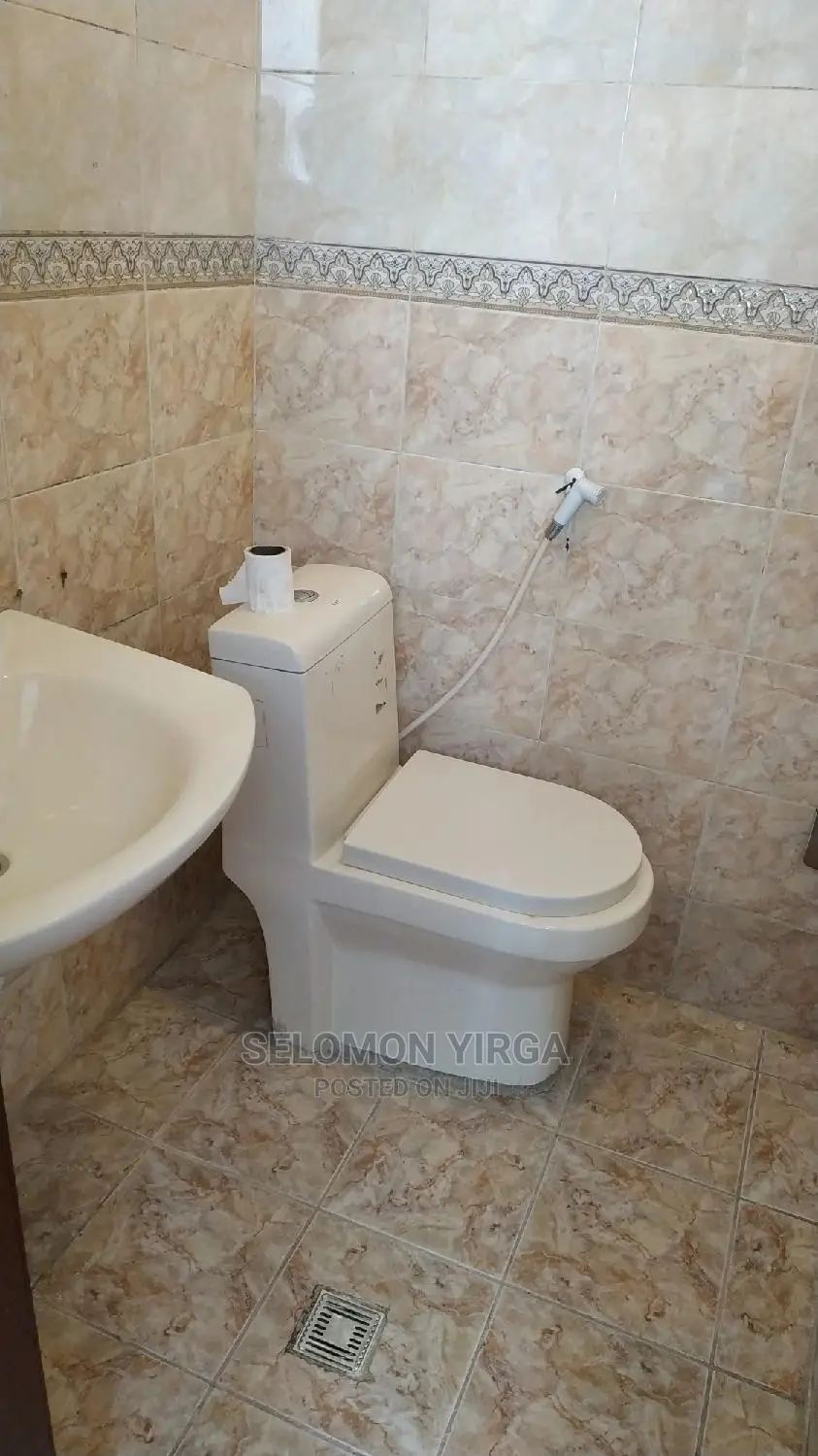 Furnished 1bdrm Apartment in Adis Abeba, Bole for rent