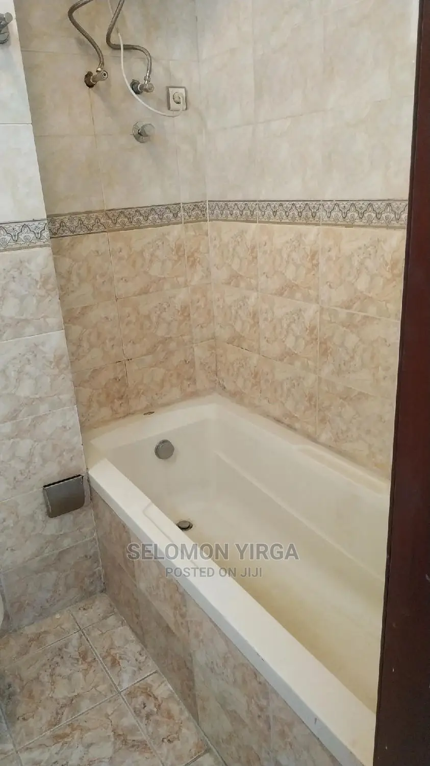 Furnished 1bdrm Apartment in Adis Abeba, Bole for rent