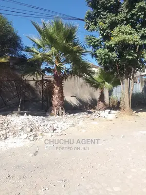 Land Sale at Bole 22 Back Side Main Road