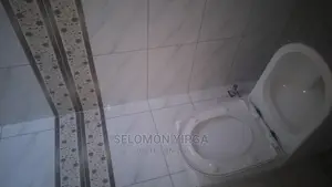 1bdrm Apartment in አድስ አበባ, Yeka for rent