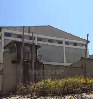 Warehouse Sale መጋዘን ሽያጭ ሃይሌ ጋርመንት