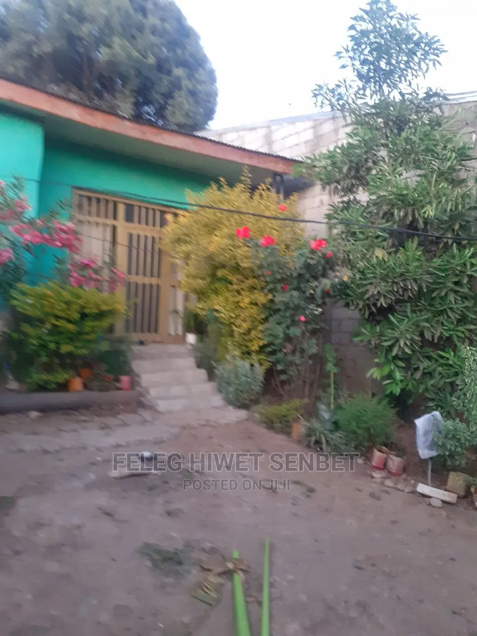 የሚሸጥ ሚያኖር ቤት ያለው ቦታ