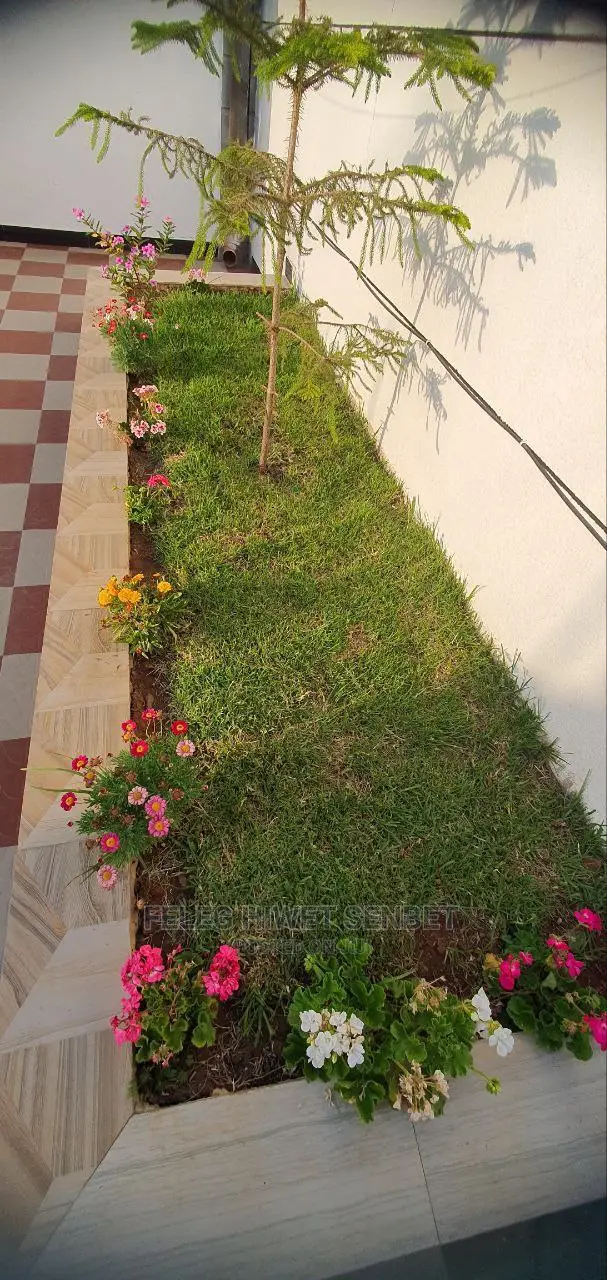 Furnished 5bdrm House in አአ, Bole for Sale