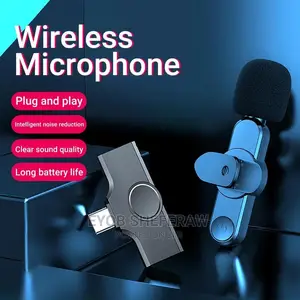  Wireless Microphone