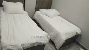 Furnished 2bdrm Apartment in Addis Abeba, Yeka for Rent