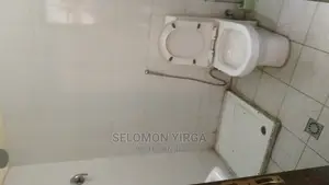 Furnished 1bdrm Apartment in Addes  Abebe, Bole for rent