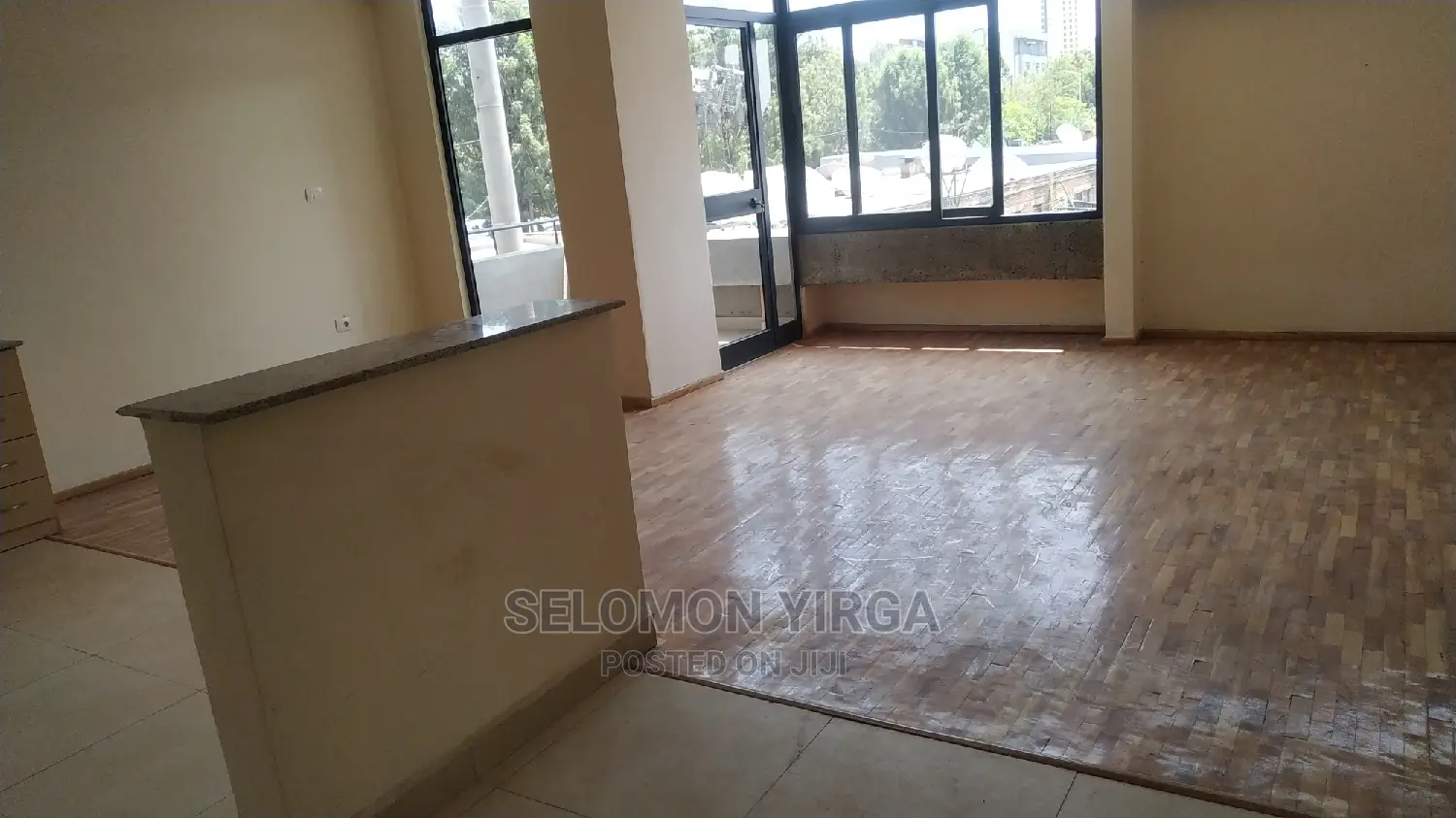3bdrm Apartment in Adidi Abba, Bole for Rent