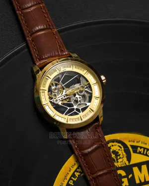 Tevise Full Automatic Luxury Watch