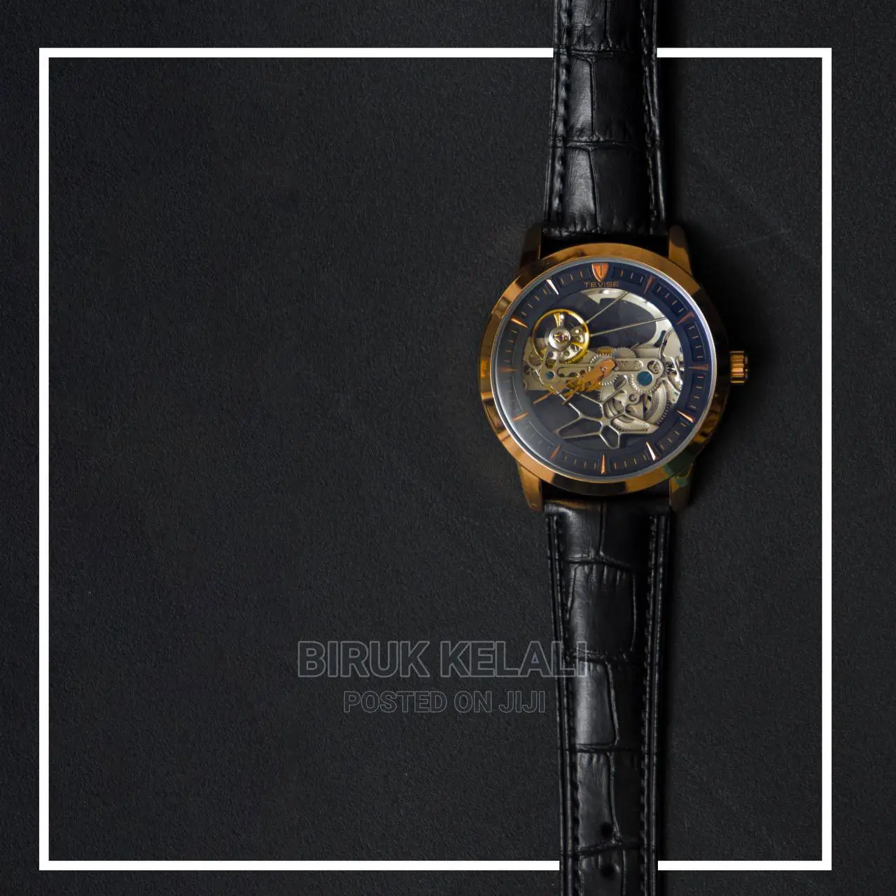 Tevise Full Automatic Luxury Watch