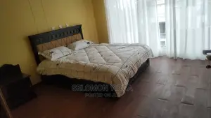Furnished 5bdrm Duplex in Addis Abbeam, Bole for Rent