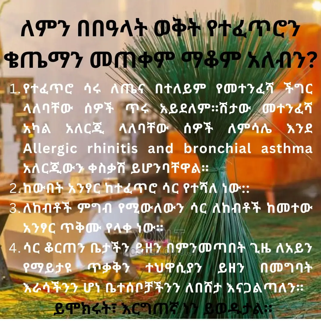 ቤታን የኘላስቲክ ቄጤማ(Reusable Washable And Recycled)