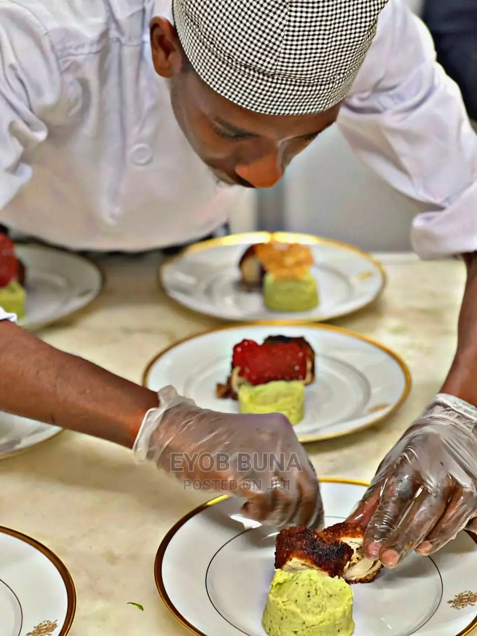 Excutive Chef, Food and Beveragecost Control, Consultant