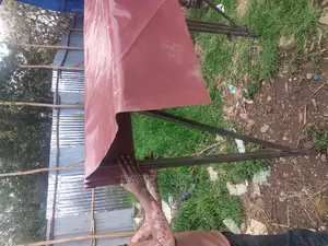 ሹተር የሻተር ስራ የጥላ ሻተሮ የውጪው የአገሩ ውስጥ ጥላ ሻተር