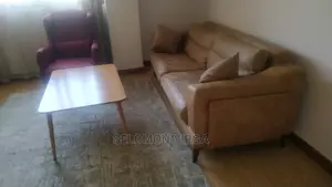 Photo - Furnished 1bdrm Apartment in Addis Abba, Bole for Rent
