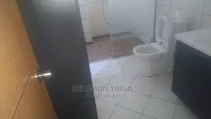 Furnished 1bdrm Apartment in Addis Abba, Bole for Rent