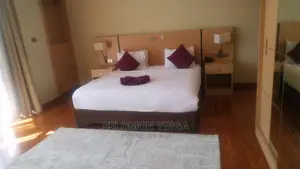 Furnished 1bdrm Apartment in Addis Abba, Bole for Rent