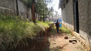 ያሚከራይ መጋዘን