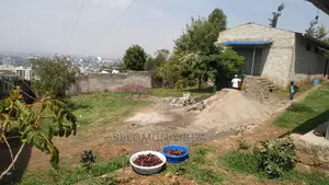 ያሚከራይ መጋዘን