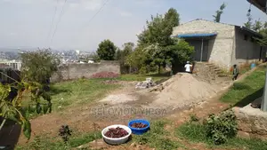 ያሚከራይ መጋዘን