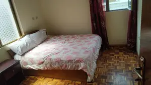 Furnished 5bdrm Duplex in Addis Abba, Bole for rent