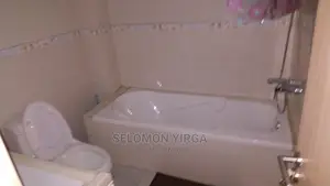 Furnished 4bdrm Apartment in Addis Abeba, Bole for Rent