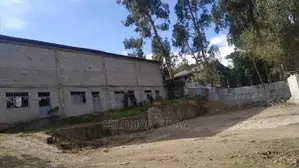 Photo - Whaehouse Rent