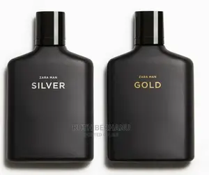 Zara Mens Silver and Gold