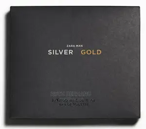 Zara Mens Silver and Gold