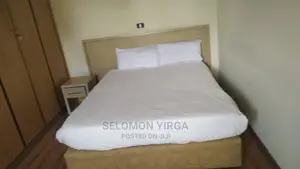 Furnished 2bdrm Apartment in Addis Abeba, Bole for rent