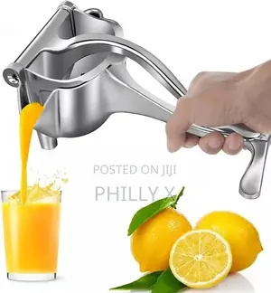 Manual Fruit Press