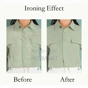 Professional Iron With Spray