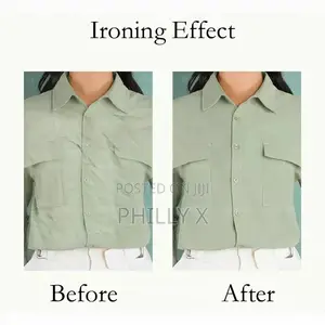 Professional Iron With Spray