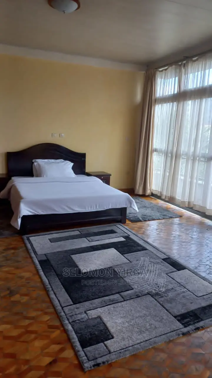 Furnished 6bdrm Duplex in አድስ አበባ, Bole for Sale