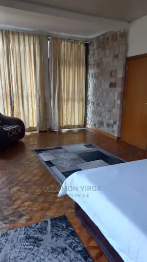 Furnished 6bdrm Duplex in አድስ አበባ, Bole for Sale