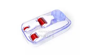 4 in 1 Derma Roller