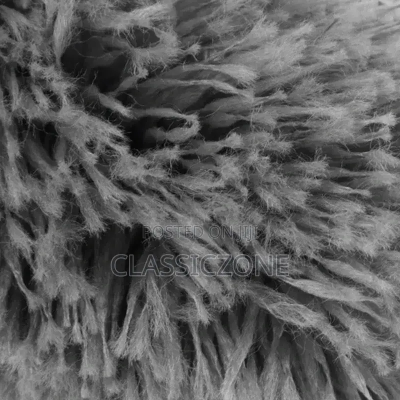 Retractable Dust Duster