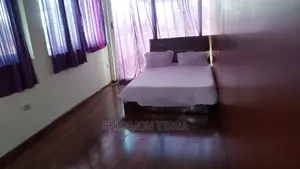 Furnished 5bdrm Duplex in አድስ አበባ, Bole for Rent