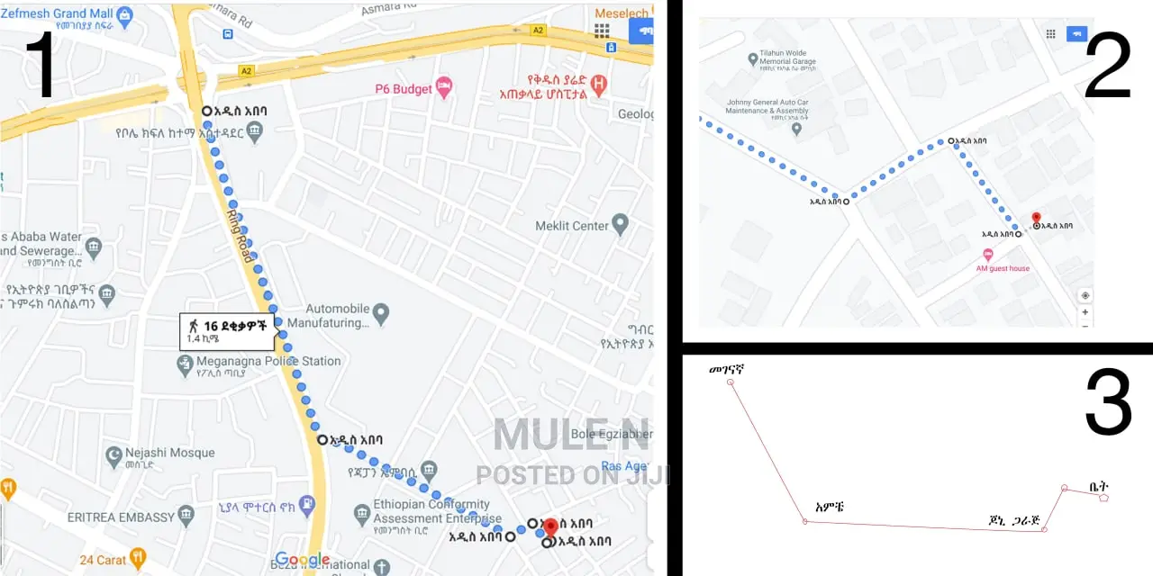 Furnished 7bdrm House in ጆኒ ጋራጅ ኣሚቼ ጋ, Bole for Sale