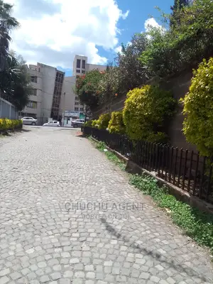 Commercial Property Sale Bole Gerji