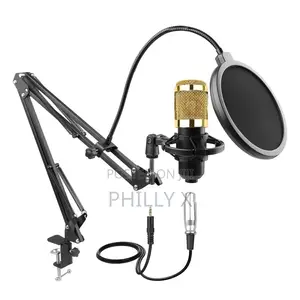 High Quality Condenser Microphone
