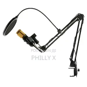 High Quality Condenser Microphone