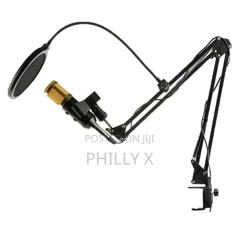 High Quality Condenser Microphone