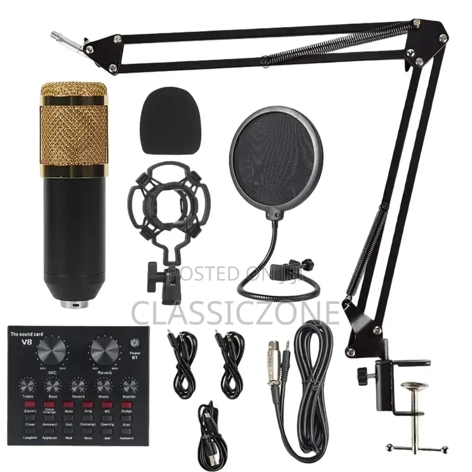 High Quality Condenser Microphone
